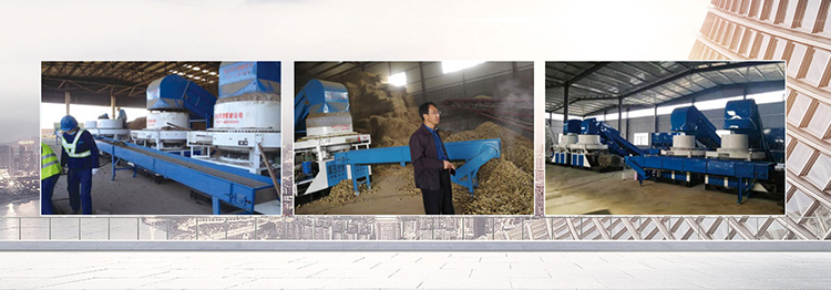 乐鱼网站_乐鱼(中国)